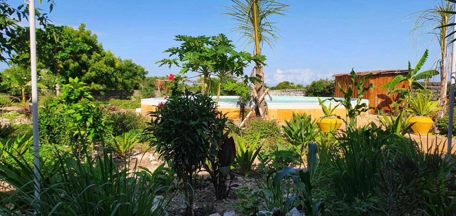 Matemwe Ocean View Villas Matemwe (Zanzibar) Exterior foto